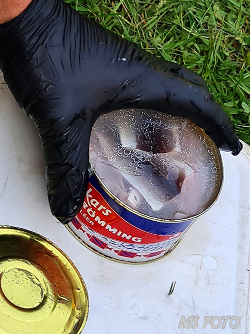 20260502_180510