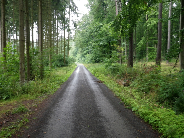 IMGP0129
