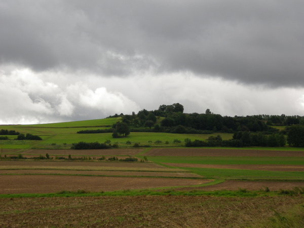 IMGP0248
