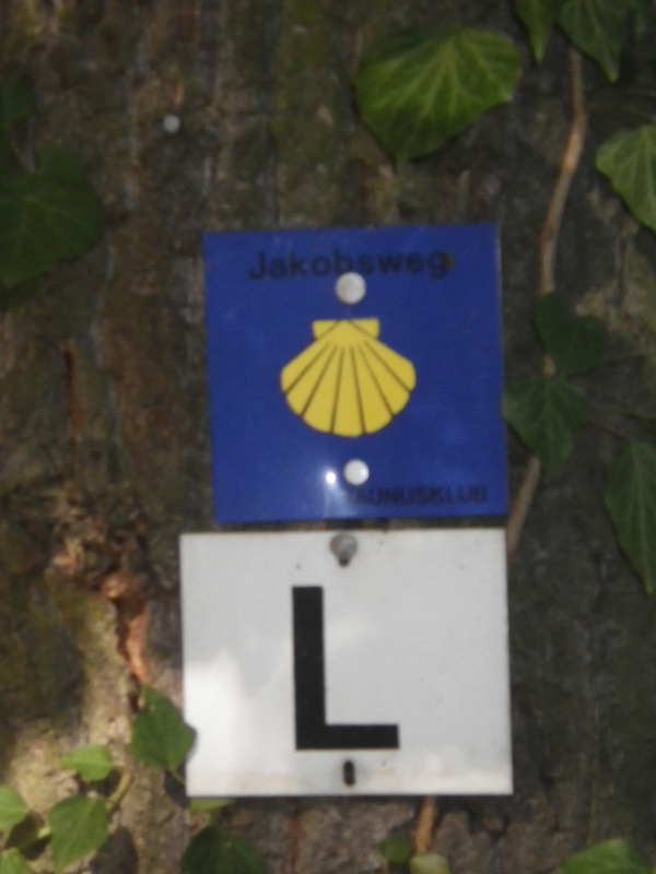 IMGP0671