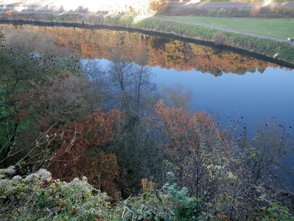 IMGP0696