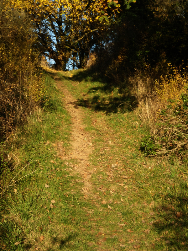IMGP0713