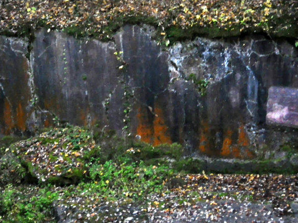 IMGP0746
