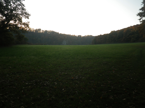 IMGP0753