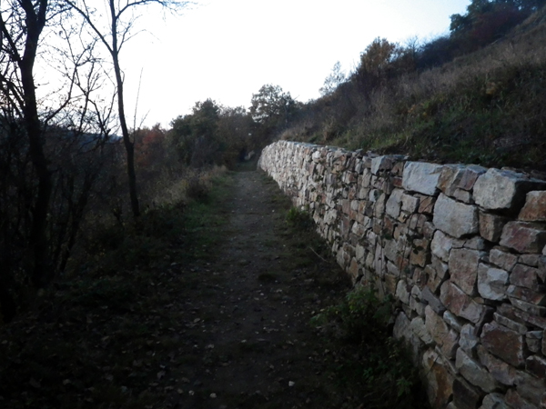 IMGP0765
