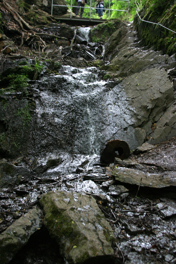 IMG_1677