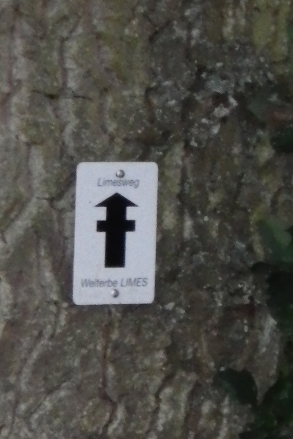IMGP0187