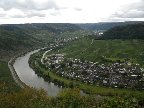 IMGP0350