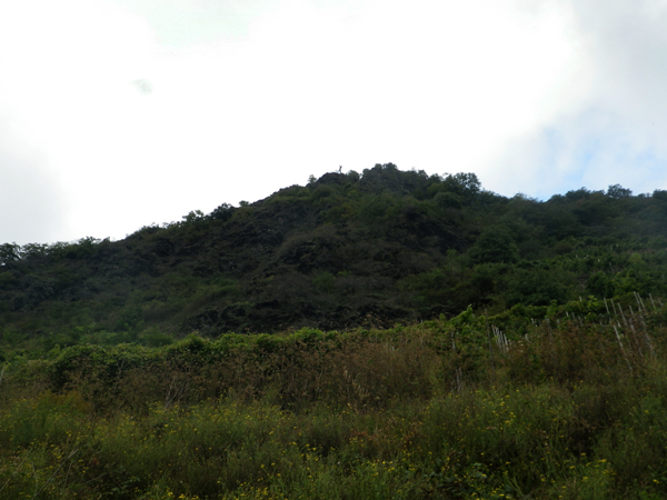 IMGP0420