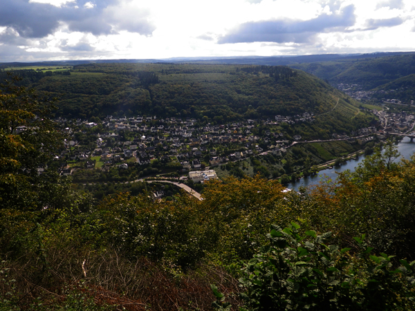 IMGP0431
