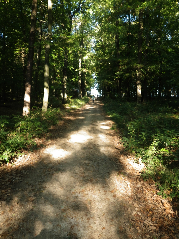 IMGP0542