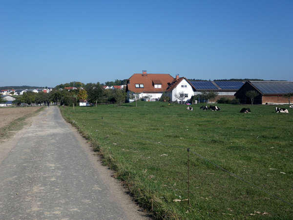 IMGP0544