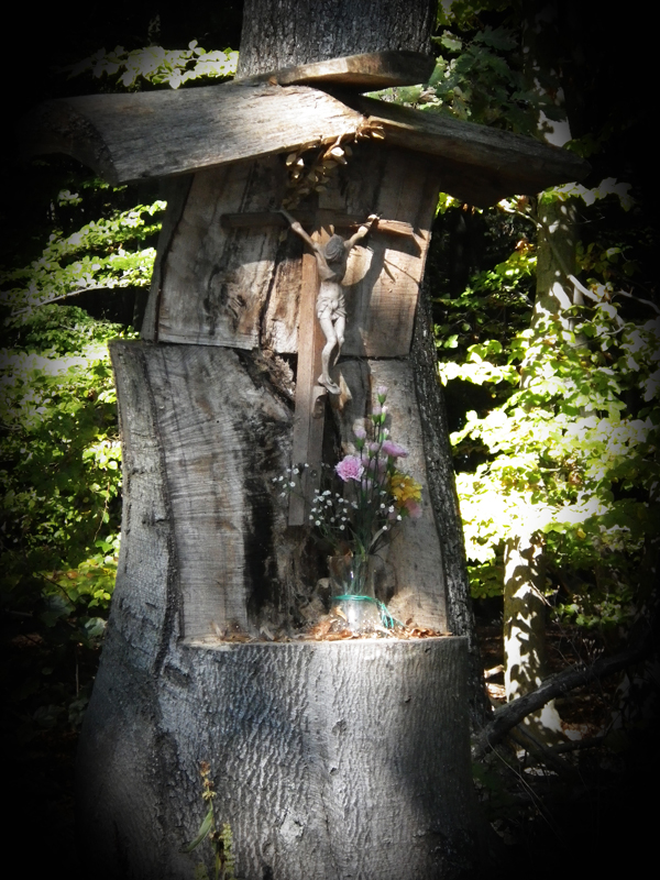 IMGP0559