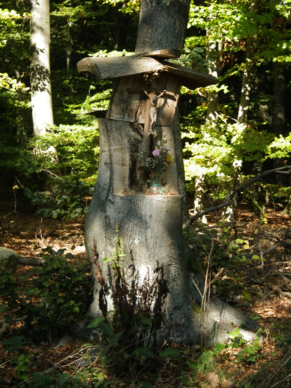 IMGP0560