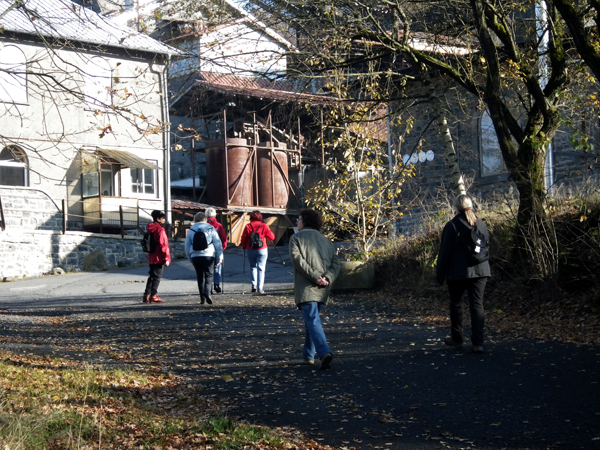IMGP0815