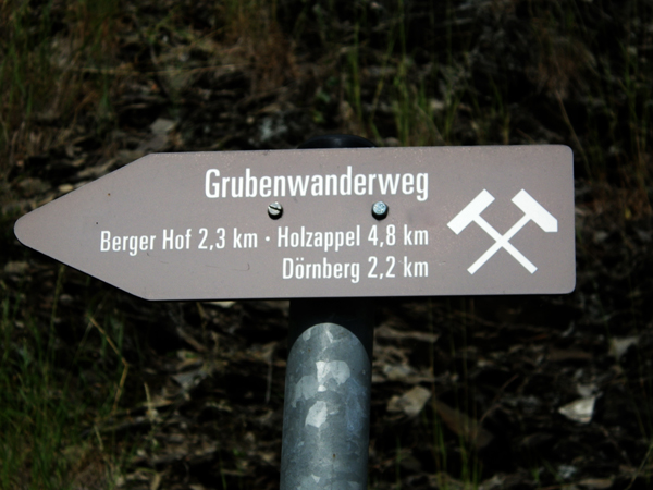 IMGP1553