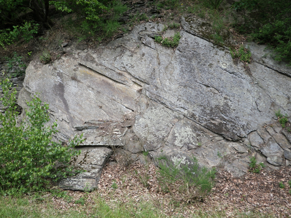 IMGP1564