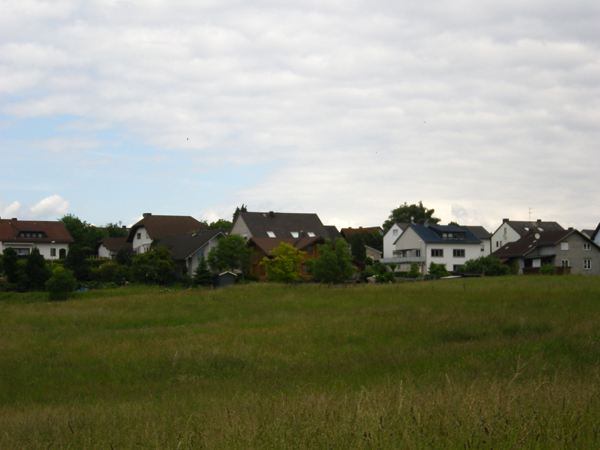 IMGP1594