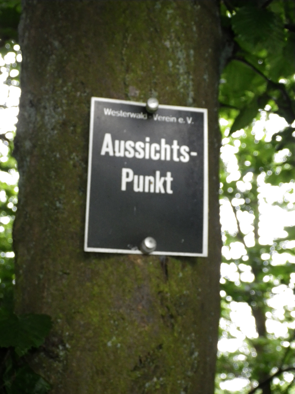 IMGP1601