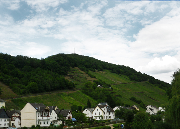 IMGP1637