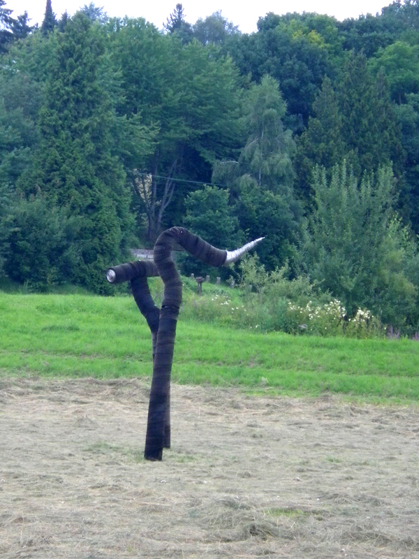 IMGP1752