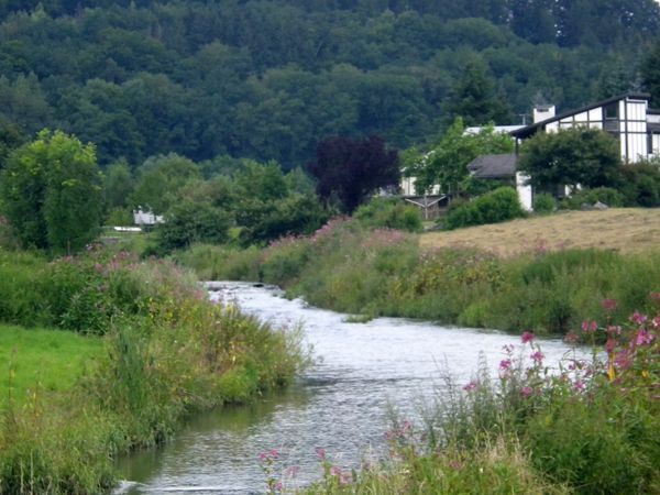 IMGP1755