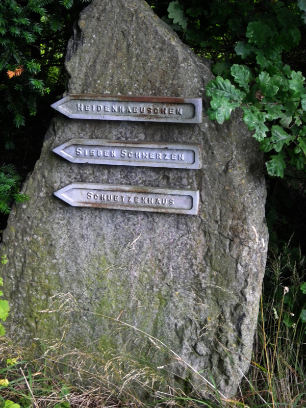 IMGP1767