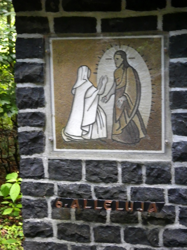 IMGP1780
