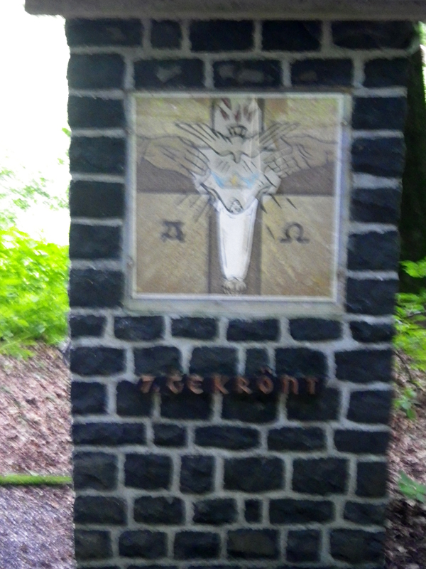 IMGP1781