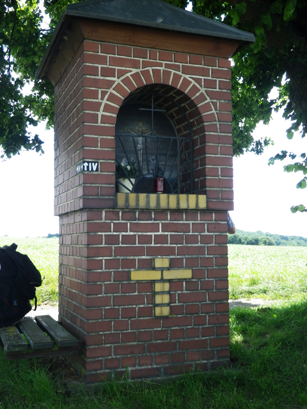 IMGP1847