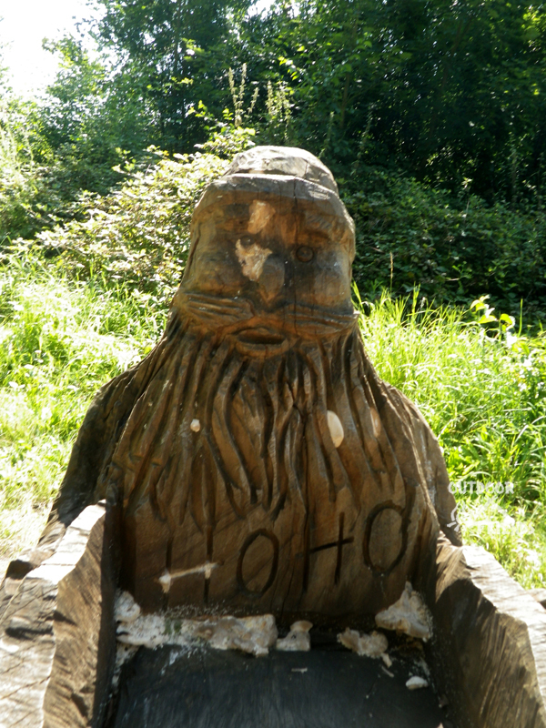 IMGP2003