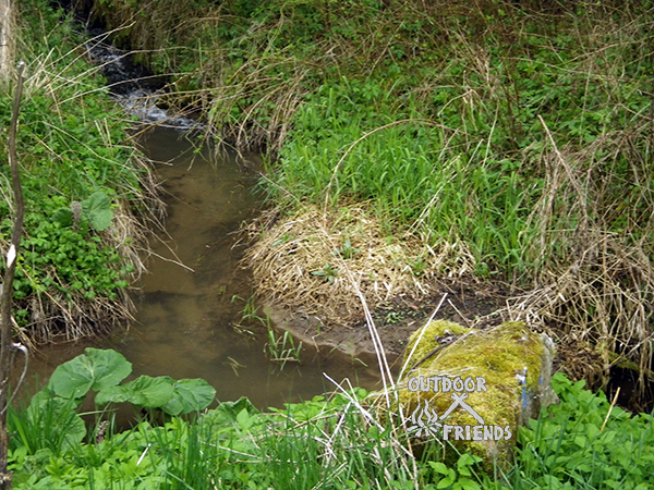 IMGP4182