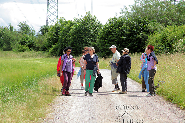 IMG_5550